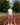 187 cm - Size M