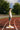 195 Running Singlet CPH - Preview