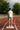 195 Running Singlet CPH - Preview